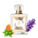 Paris Perfumes N° 562