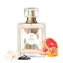Paris Perfumes N° 252