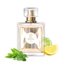 Paris Perfumes N° 100