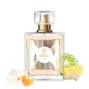 Paris Perfumes N° 166