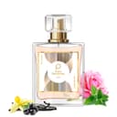 Paris Perfumes N° 242